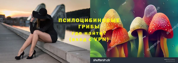 трава Абаза