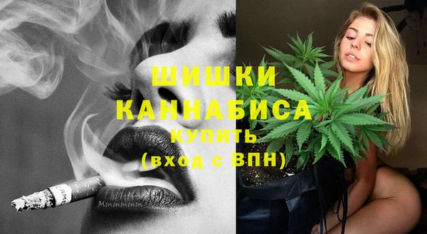 сатива Алексин
