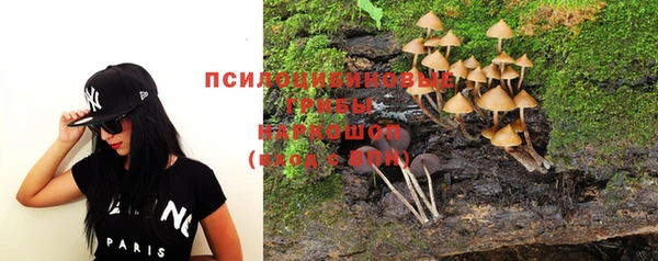 трава Абаза