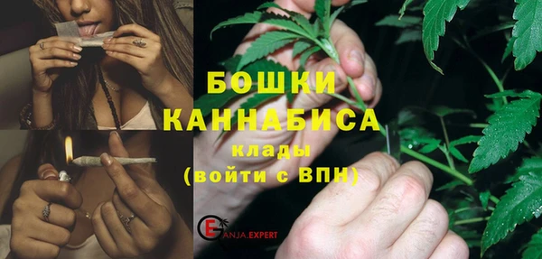трава Абаза