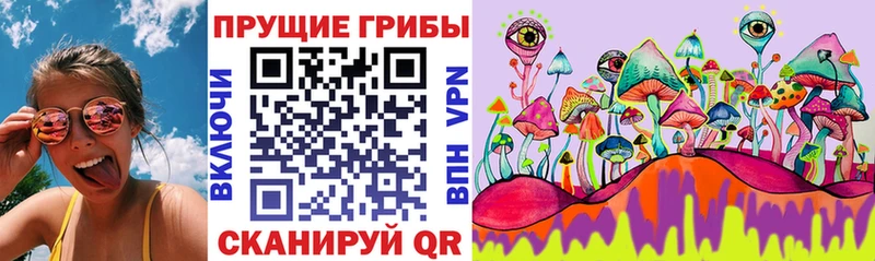 Псилоцибиновые грибы Magic Shrooms Новокубанск